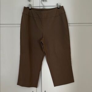 EUC JBLWomen's Brown Capri Pants